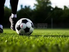 王健谈朱正,自小对中国,情感深厚,万博manbetx体育平台,万博体育官网,万博体育app下载,ManBetX,SPORTS