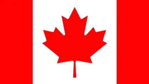 日本队成功之谜：三十载沉淀与冠军之梦