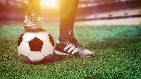 中国代表团亮相都灵第32届世界大学生冬季运动会，央视新闻客户端报道